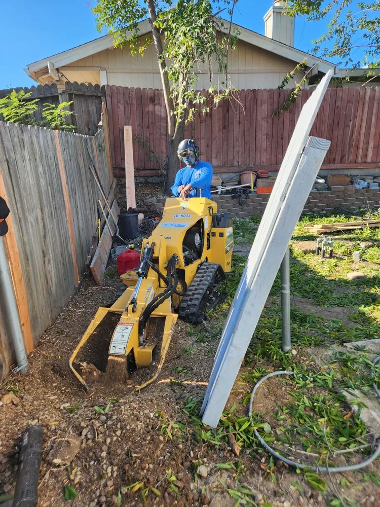 Hazardous tree removal on a residential property in Antelope, CA
