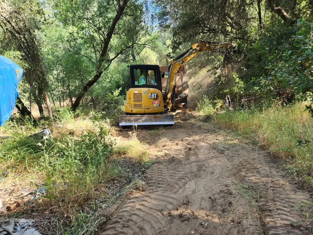 Roadside tree maintenance and clearing in Antelope, CA