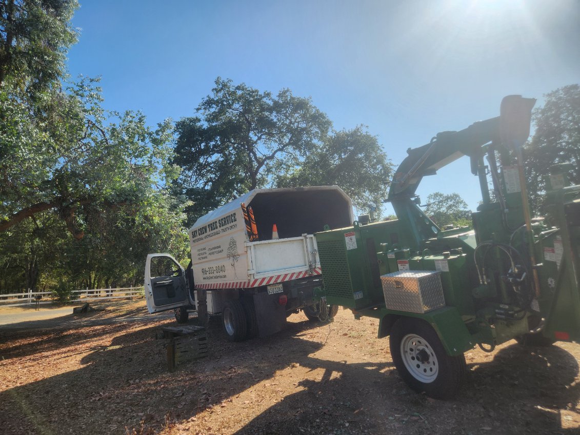 Stump grinding restoring yard space in Antelope, CA