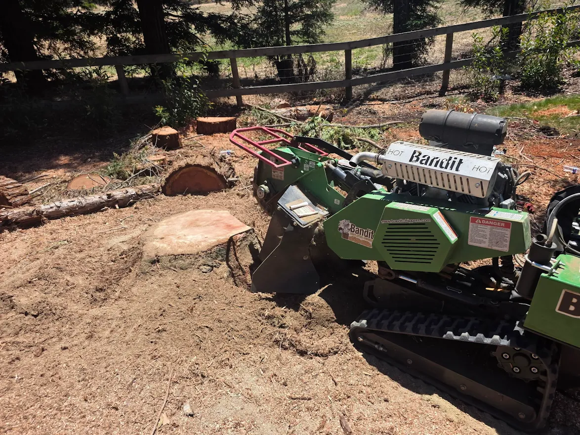 Stump grinding equipment on site in Antelope, CA