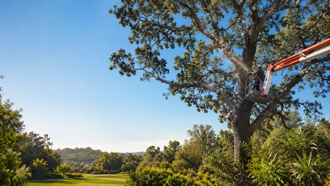Tree service and land clearing equipment serving Antelope, CA