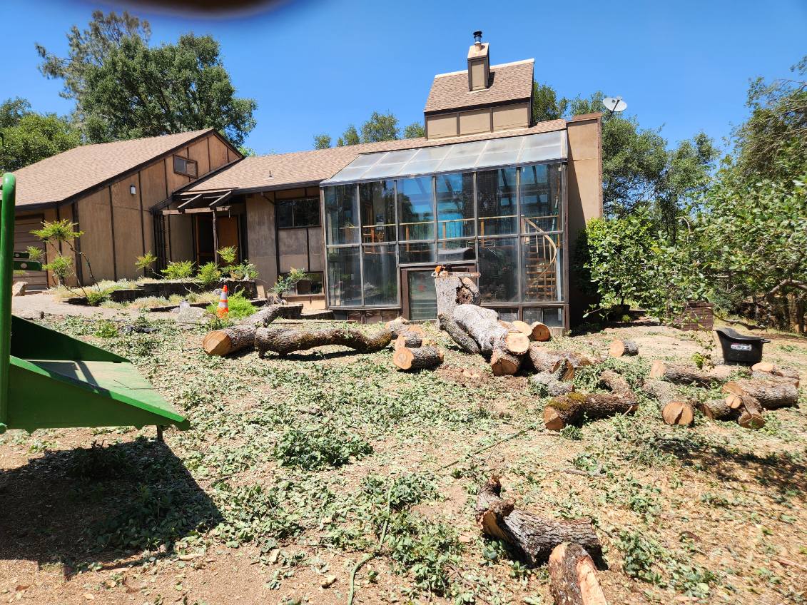Tree service Antelope, CA — Sky Crew field work
