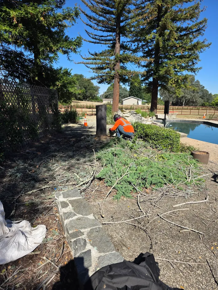 Tree service equipment and boom lift in Antelope, CA
